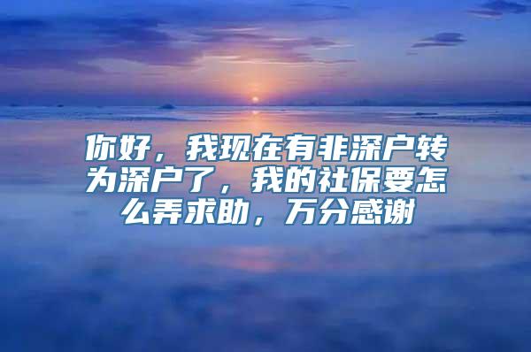 你好，我现在有非深户转为深户了，我的社保要怎么弄求助，万分感谢