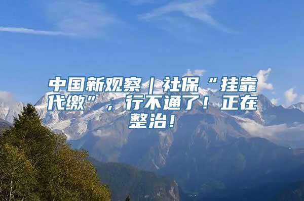 中国新观察｜社保“挂靠代缴”，行不通了！正在整治！