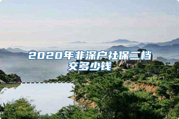 2020年非深户社保二档交多少钱