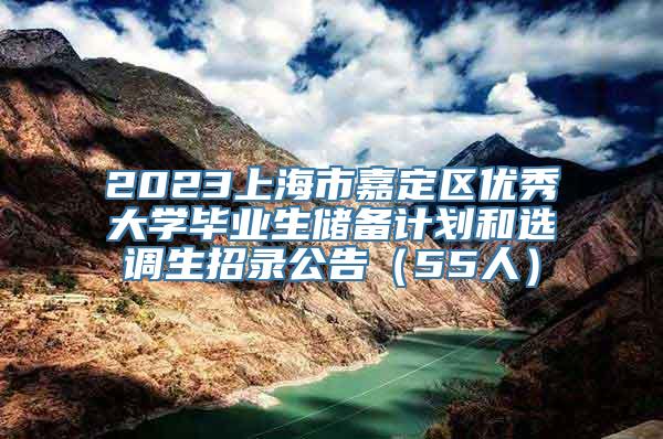 2023上海市嘉定区优秀大学毕业生储备计划和选调生招录公告（55人）