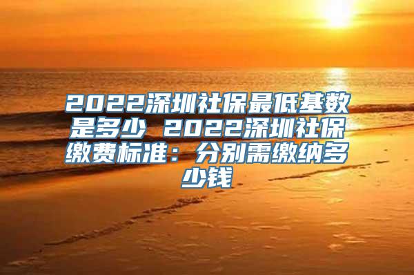 2022深圳社保最低基数是多少 2022深圳社保缴费标准：分别需缴纳多少钱