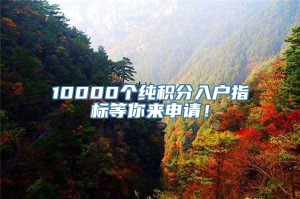 10000个纯积分入户指标等你来申请！