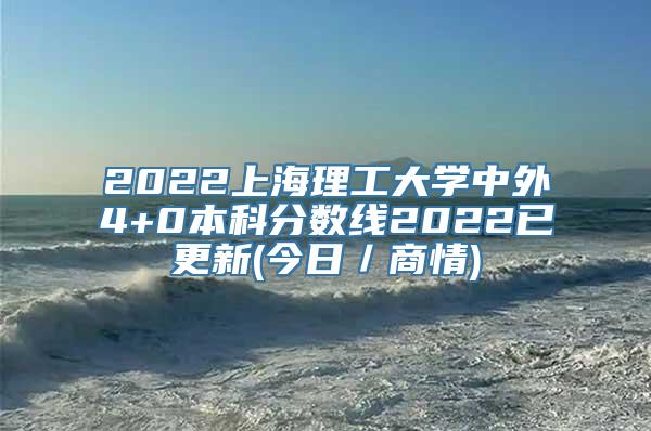 2022上海理工大学中外4+0本科分数线2022已更新(今日／商情)