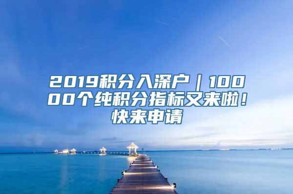 2019积分入深户｜10000个纯积分指标又来啦！快来申请