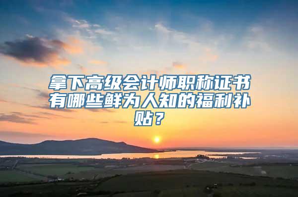 拿下高级会计师职称证书有哪些鲜为人知的福利补贴？