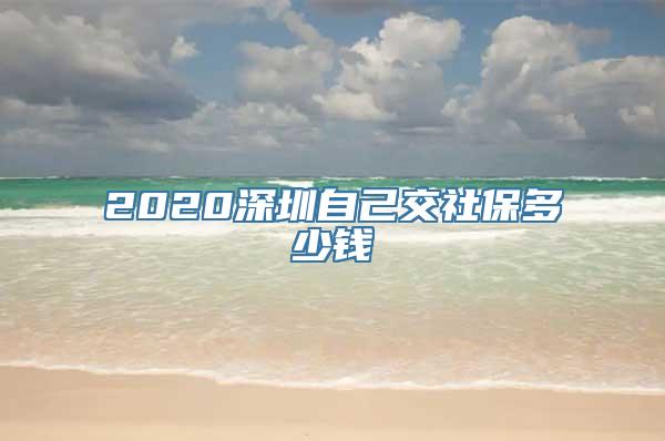 2020深圳自己交社保多少钱