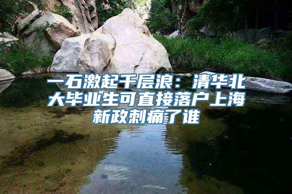 一石激起千层浪：清华北大毕业生可直接落户上海新政刺痛了谁