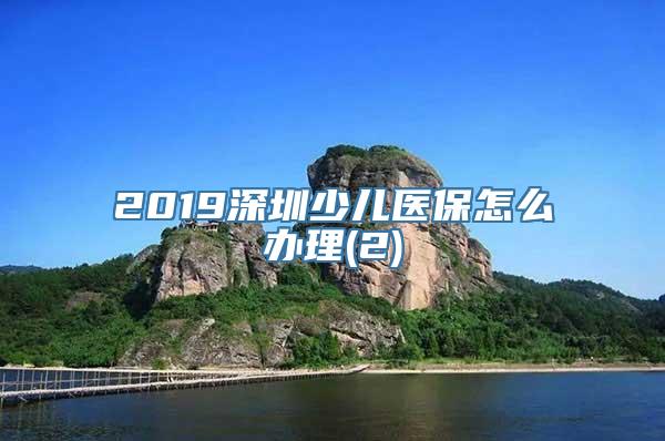 2019深圳少儿医保怎么办理(2)