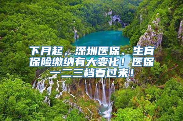 下月起，深圳医保、生育保险缴纳有大变化！医保一二三档看过来！