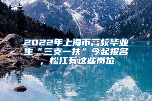 2022年上海市高校毕业生“三支一扶”今起报名，松江有这些岗位