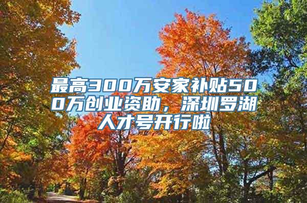 最高300万安家补贴500万创业资助，深圳罗湖人才号开行啦