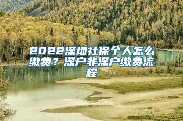 2022深圳社保个人怎么缴费？深户非深户缴费流程