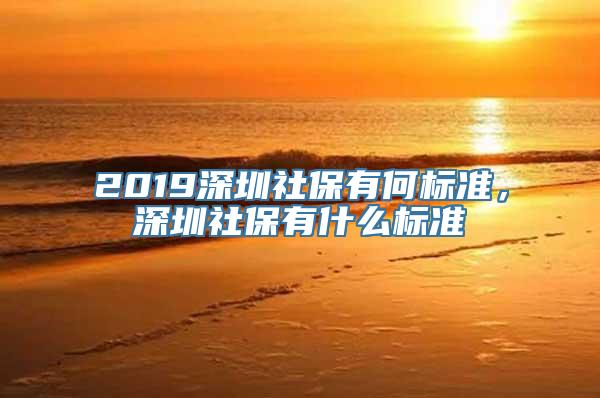 2019深圳社保有何标准，深圳社保有什么标准