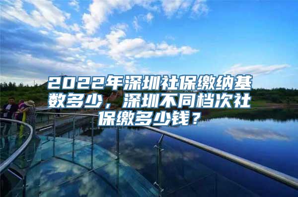 2022年深圳社保缴纳基数多少，深圳不同档次社保缴多少钱？