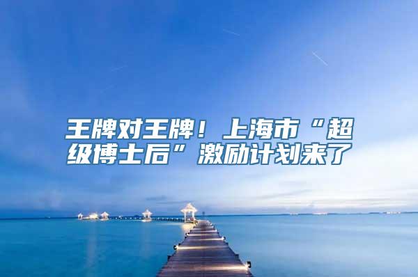 王牌对王牌！上海市“超级博士后”激励计划来了