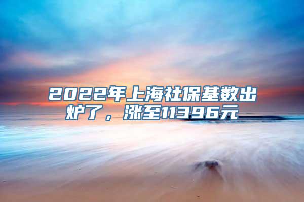 2022年上海社保基数出炉了，涨至11396元