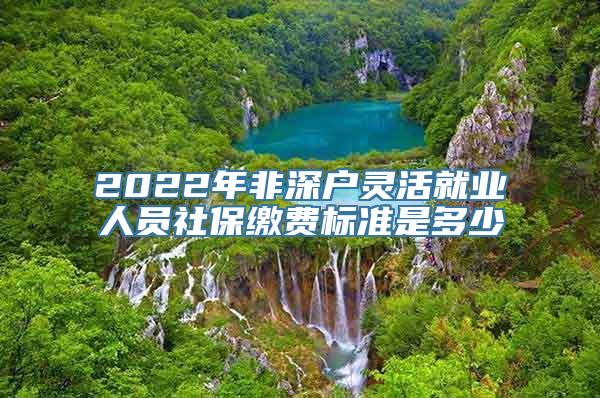 2022年非深户灵活就业人员社保缴费标准是多少