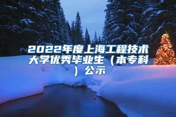 2022年度上海工程技术大学优秀毕业生（本专科）公示