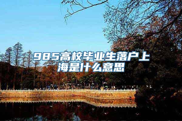 985高校毕业生落户上海是什么意思