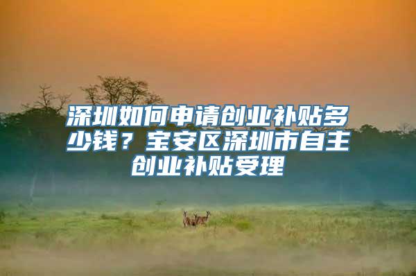 深圳如何申请创业补贴多少钱？宝安区深圳市自主创业补贴受理