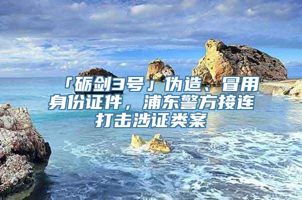 「砺剑3号」伪造、冒用身份证件，浦东警方接连打击涉证类案