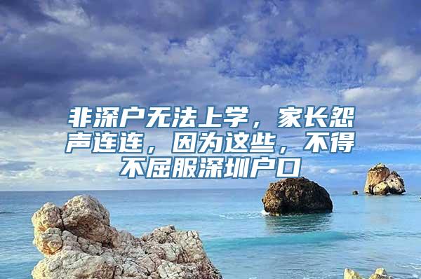 非深户无法上学，家长怨声连连，因为这些，不得不屈服深圳户口