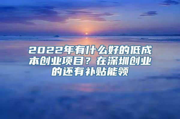 2022年有什么好的低成本创业项目？在深圳创业的还有补贴能领