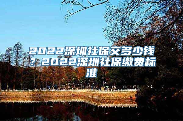 2022深圳社保交多少钱？2022深圳社保缴费标准