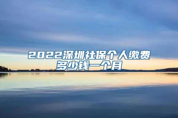 2022深圳社保个人缴费多少钱一个月