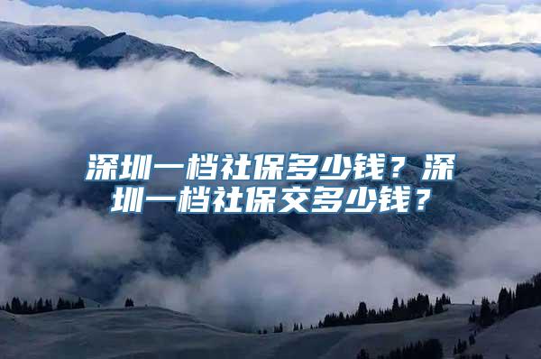 深圳一档社保多少钱？深圳一档社保交多少钱？