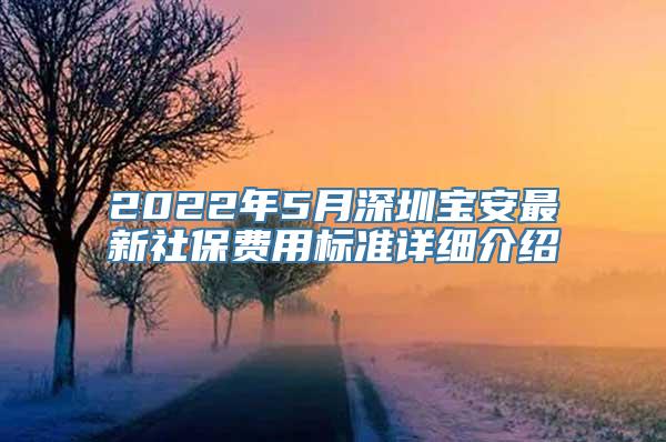 2022年5月深圳宝安最新社保费用标准详细介绍