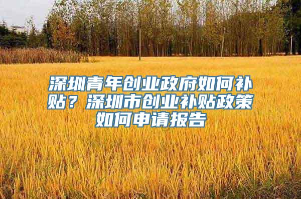 深圳青年创业政府如何补贴？深圳市创业补贴政策如何申请报告