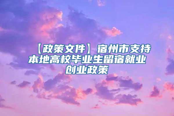 【政策文件】宿州市支持本地高校毕业生留宿就业创业政策