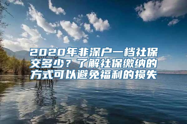 2020年非深户一档社保交多少？了解社保缴纳的方式可以避免福利的损失