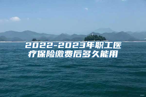 2022-2023年职工医疗保险缴费后多久能用