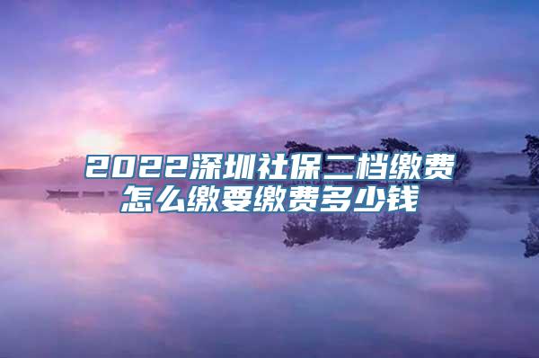 2022深圳社保二档缴费怎么缴要缴费多少钱