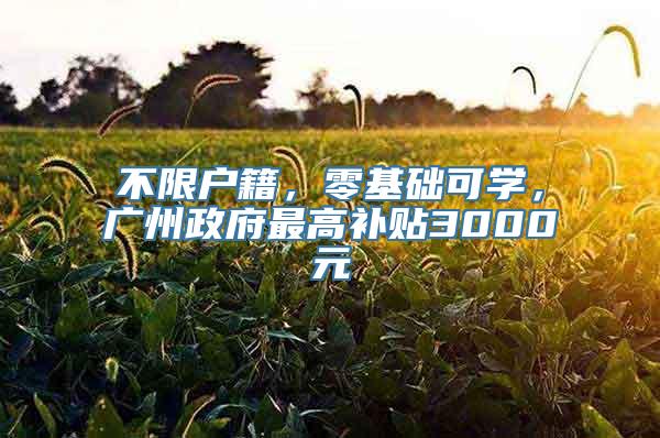 不限户籍，零基础可学，广州政府最高补贴3000元