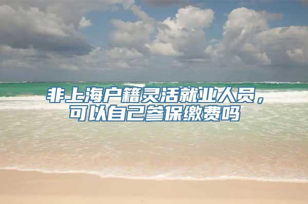 非上海户籍灵活就业人员，可以自己参保缴费吗