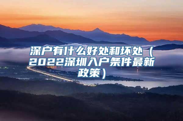 深户有什么好处和坏处（2022深圳入户条件最新政策）