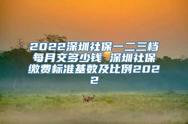 2022深圳社保一二三档每月交多少钱 深圳社保缴费标准基数及比例2022