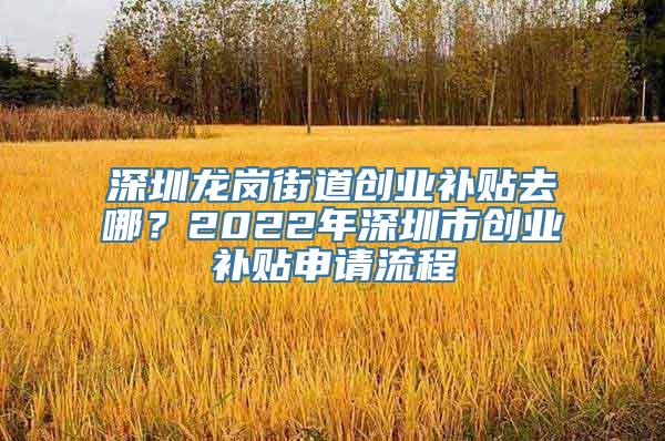 深圳龙岗街道创业补贴去哪？2022年深圳市创业补贴申请流程