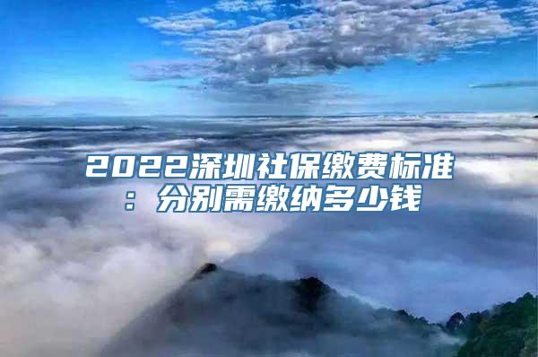 2022深圳社保缴费标准：分别需缴纳多少钱