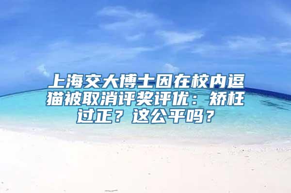 上海交大博士因在校内逗猫被取消评奖评优：矫枉过正？这公平吗？