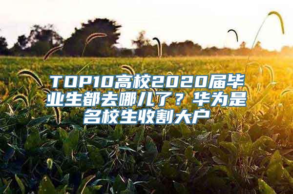 TOP10高校2020届毕业生都去哪儿了？华为是名校生收割大户