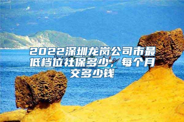 2022深圳龙岗公司市最低档位社保多少，每个月交多少钱