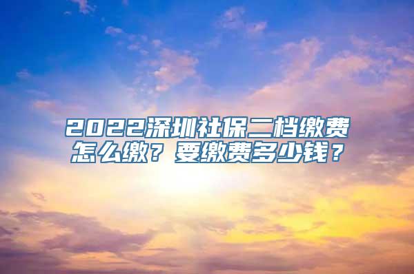 2022深圳社保二档缴费怎么缴？要缴费多少钱？