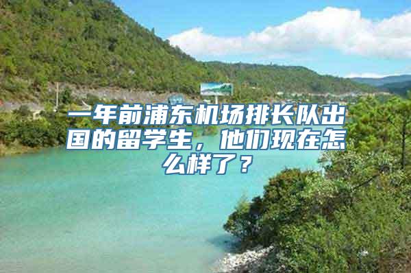 一年前浦东机场排长队出国的留学生，他们现在怎么样了？