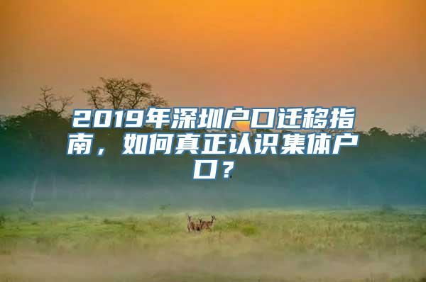 2019年深圳户口迁移指南，如何真正认识集体户口？