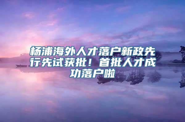 杨浦海外人才落户新政先行先试获批！首批人才成功落户啦