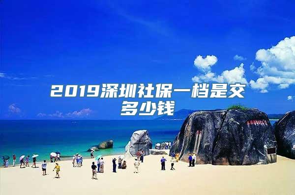 2019深圳社保一档是交多少钱